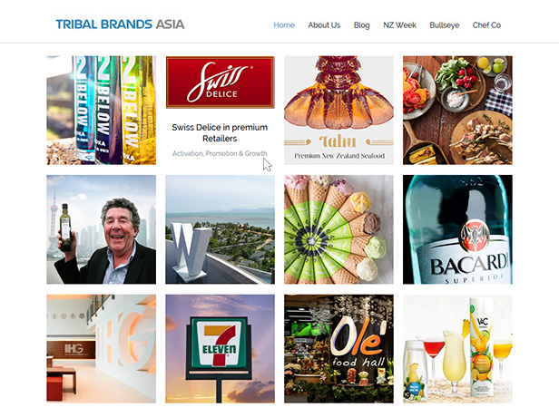 Tribal Brands Asia_网站开发