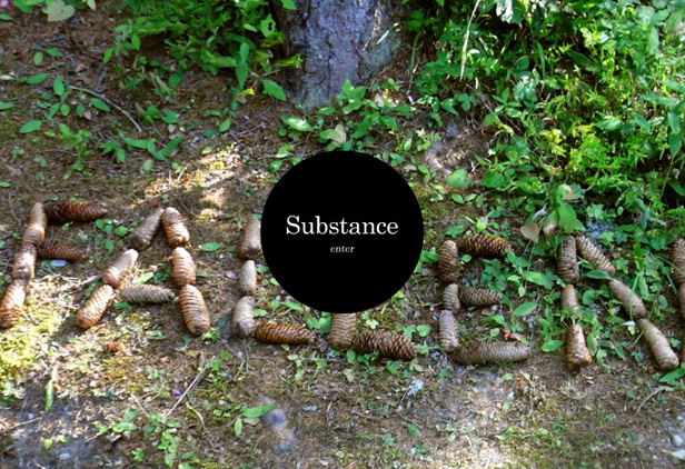 SUBSTANCE Agency_网站开发