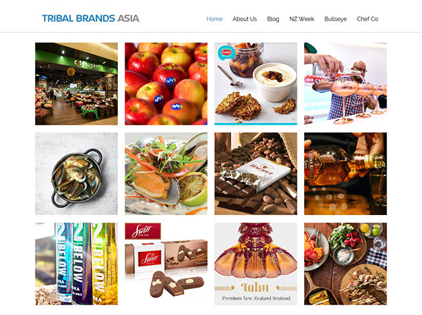 Tribal Brands Asia_网站开发